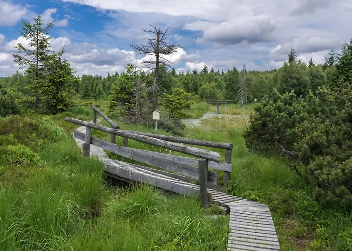 Ahornspitze بيت للعطل Kurort Bärenburg